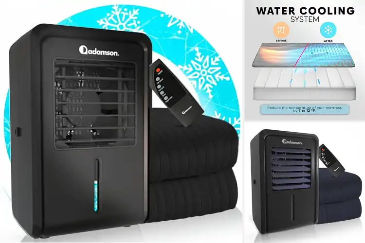 Detailed view of Best 5-Year Assurance