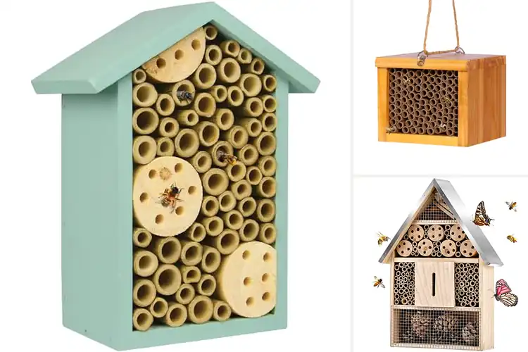 Detailed view of Best Bee Houses