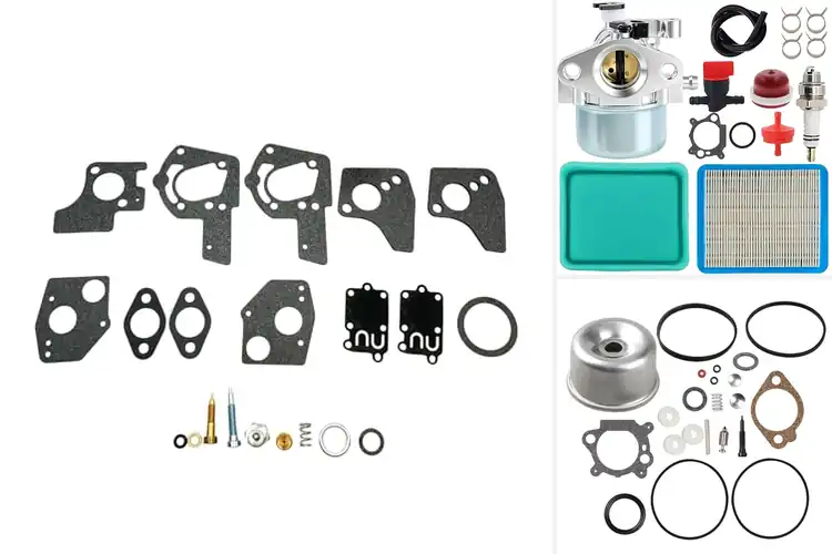Detailed view of Best Briggs Stratton Carburetor Kits