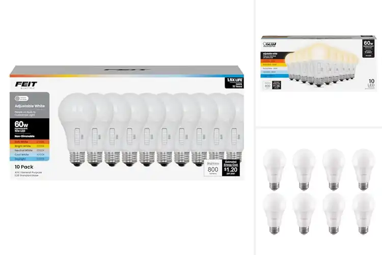 Detailed view of Best Color Temperature Selectable Lights