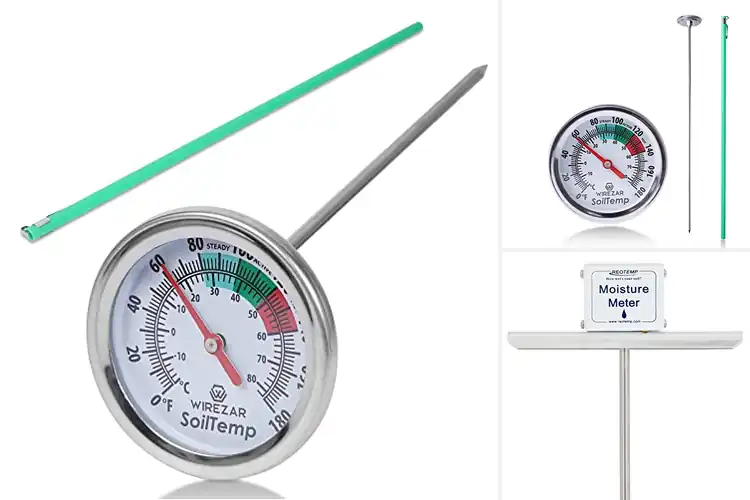Detailed view of Best Compost Monitors