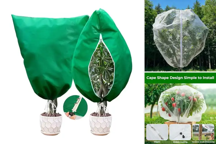 Detailed view of Best Double Zipper Tree Covers