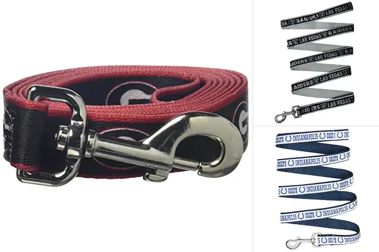 Detailed view of Best Embroidered Team Logo Leashes