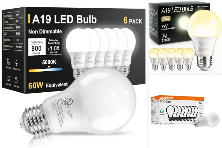 Detailed view of Best Energy-Efficient Lights