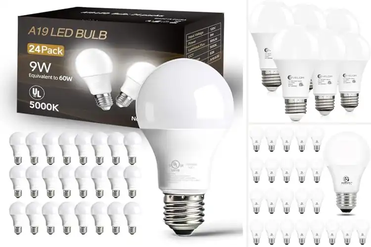 Detailed view of Best Energy Saving LED Lights