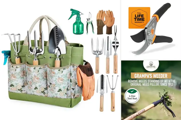 Detailed view of Best Garden Tools