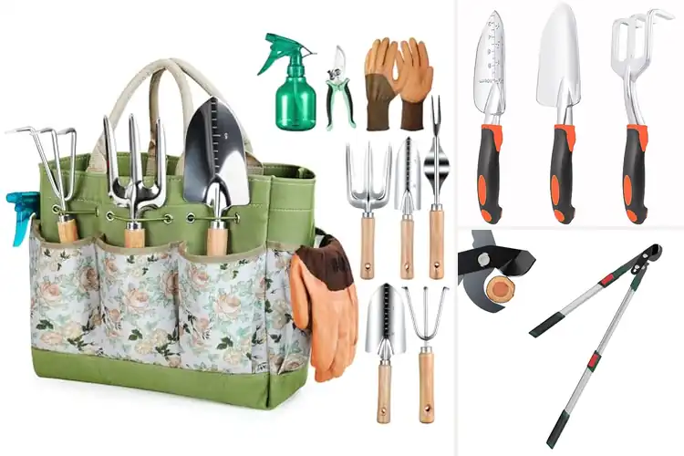 Detailed view of Best Gardening Tools: Simplify & Enjoy Your Garden Today