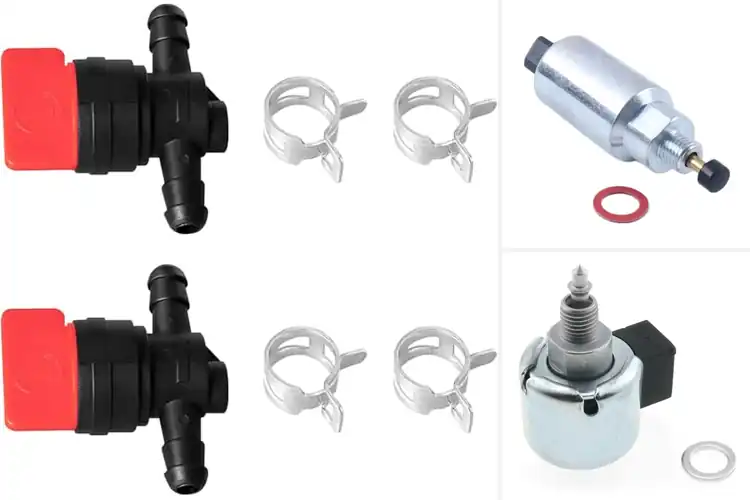 Detailed view of Best Lawn Mower Carburetor Valves