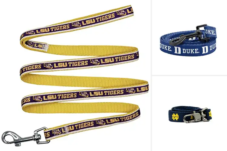 Detailed view of Best Official NCAA Licensed Leashes