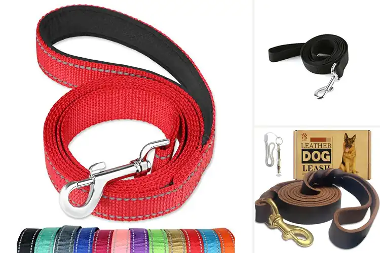 Detailed view of Best One Inch Wide Leashes