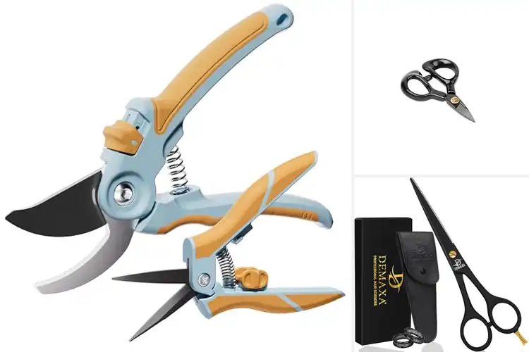 Detailed view of Best Precision Shears: Top 10 Picks for Flawless Cutting
