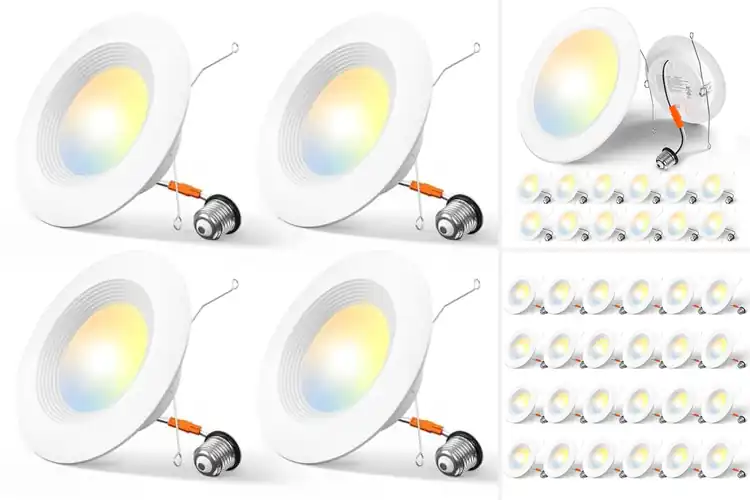 Detailed view of Best Retrofit Ceiling Lights