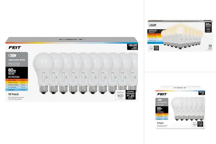 Detailed view of Best Selectable Color Temperature Lights