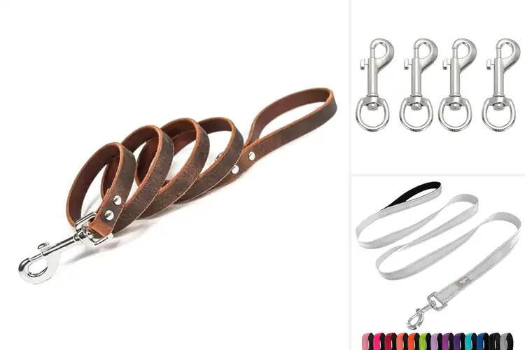 Detailed view of Best Silver Tone Hardware Leashes