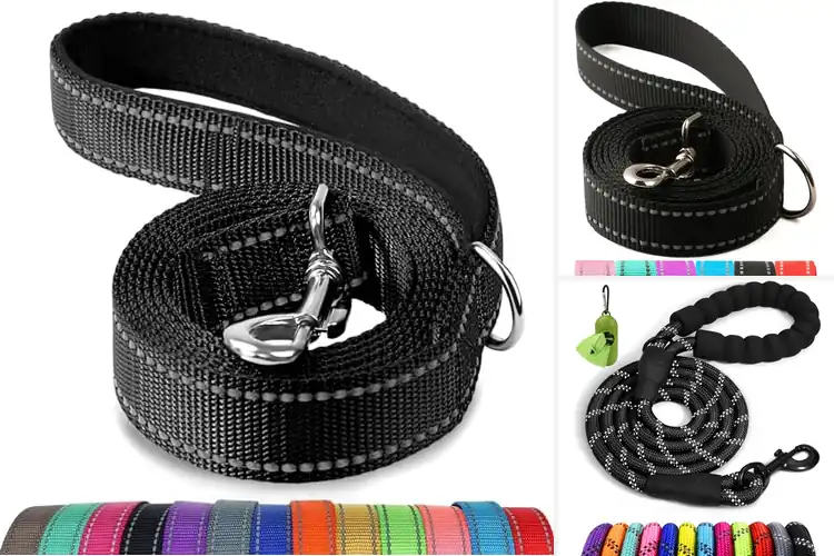 Detailed view of Best Six Foot Leashes: Top 10 Picks for Safe & Stylish Walks
