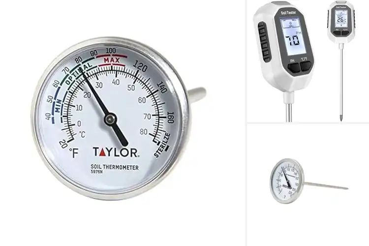 Detailed view of Best Soil Temperature Thermometers for Confident Planting