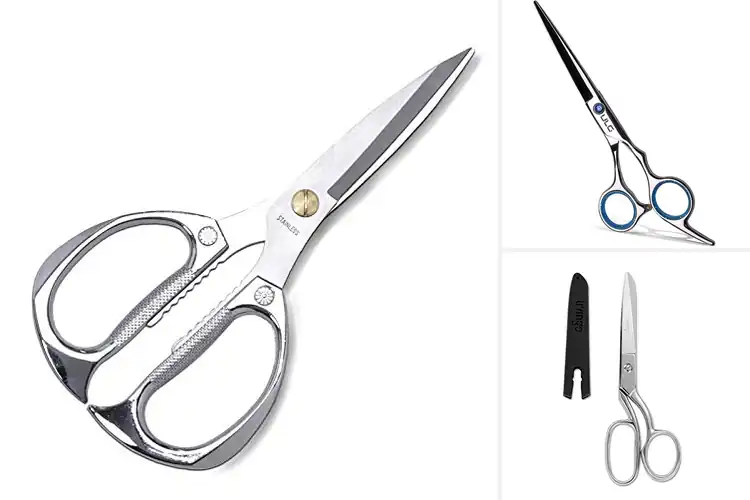 Detailed view of Best Stainless Steel Shears