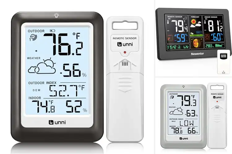 Detailed view of Best Weather-Resistant Thermometers